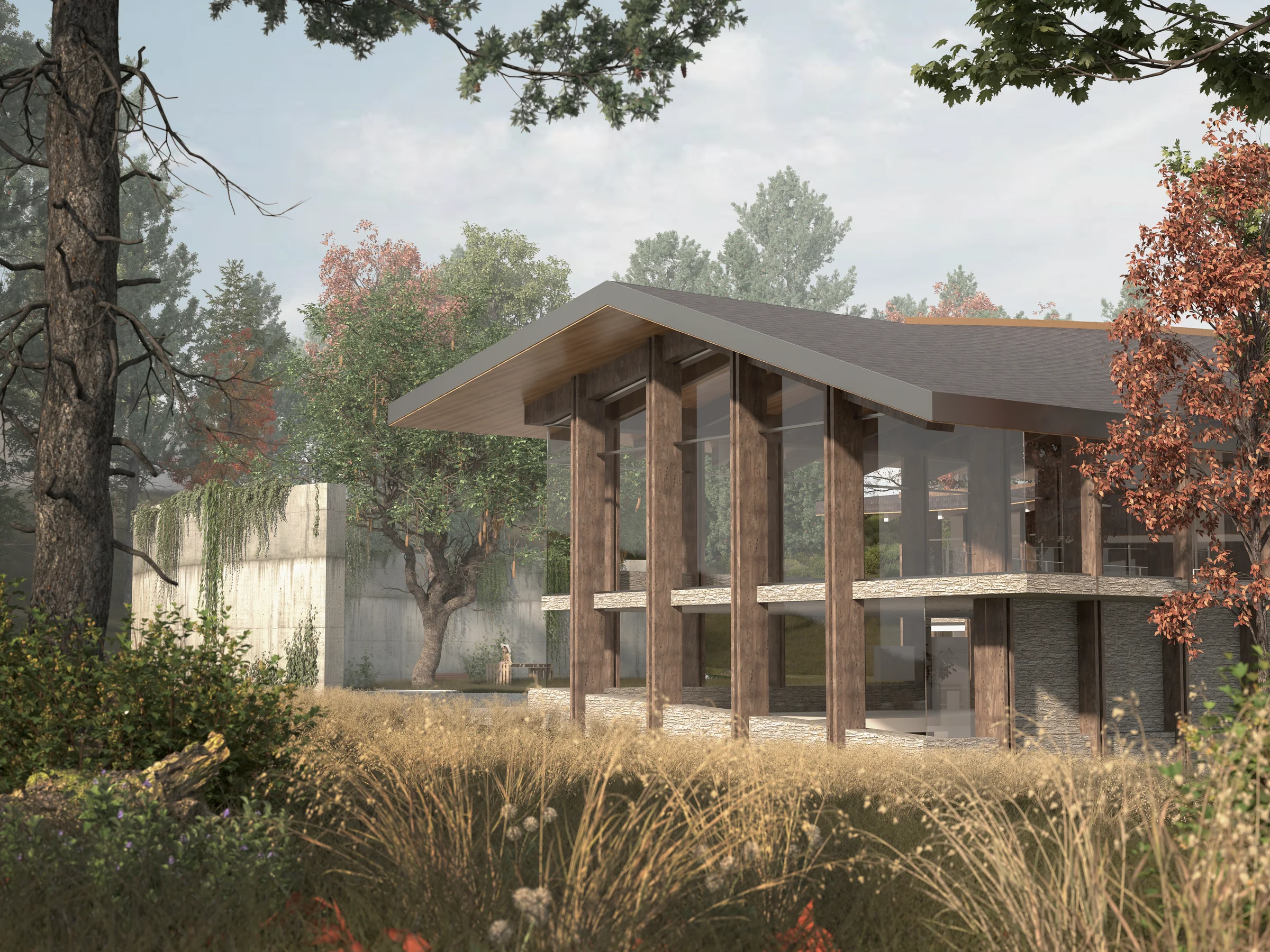 Architectural visualization in a wooded landscape